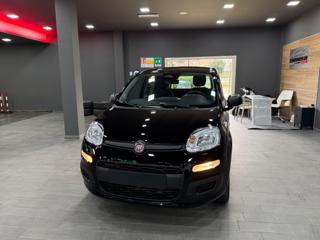 FIAT Pandina usata, con Limitatore di velocità