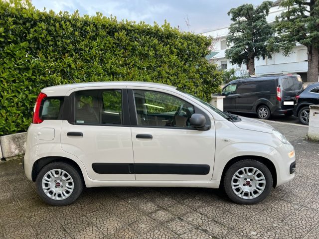 FIAT Panda usata 4