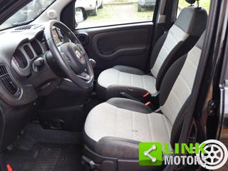 FIAT Panda Cross usata, con Airbag testa