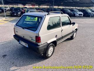 FIAT Panda usata 2