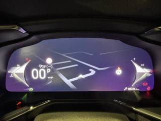 DS AUTOMOBILES DS 7 usata, con Autoradio digitale