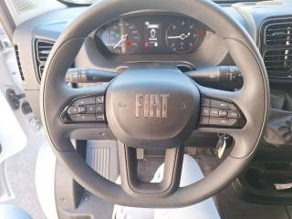 FIAT Ducato usata, con Cruise Control