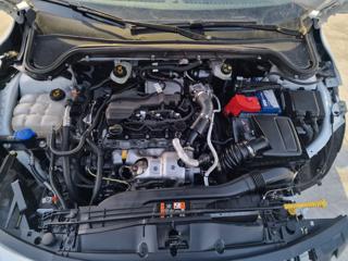 FORD Focus usata 23