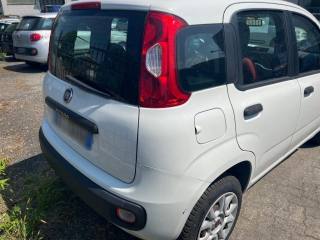 FIAT Panda usata, con Controllo trazione
