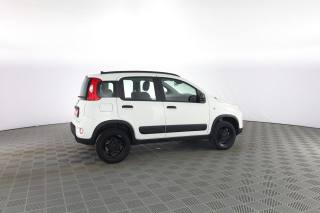 FIAT Panda usata 2