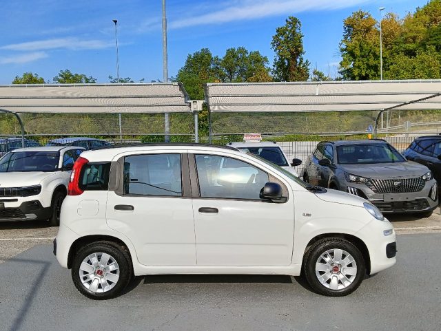 FIAT Panda usata, con Antifurto