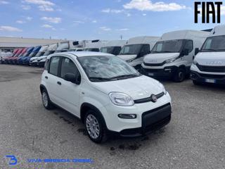 FIAT Panda usata, con Airbag Passeggero