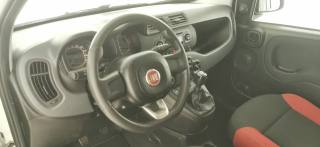 FIAT Panda usata 37
