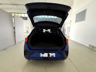 VOLKSWAGEN T-Roc usata, con Volante in pelle