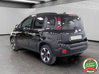 FIAT Panda usata, con Climatizzatore