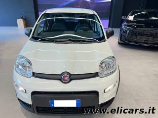 FIAT Panda usata, con Airbag