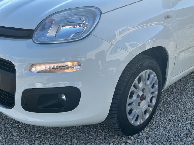 FIAT Panda usata 16