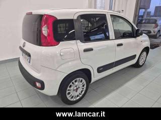 FIAT Panda usata, con Servosterzo