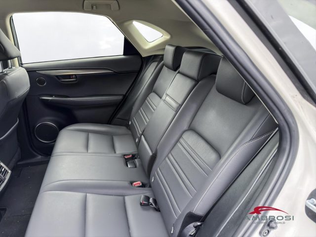 LEXUS NX 300h usata 10