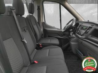 FORD Transit usata 13