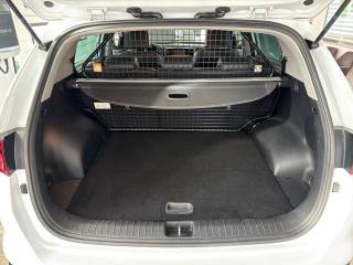 KIA Sportage usata, con Fendinebbia