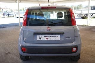 FIAT Panda usata, con Climatizzatore
