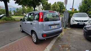 FIAT Panda usata, con Alzacristalli elettrici
