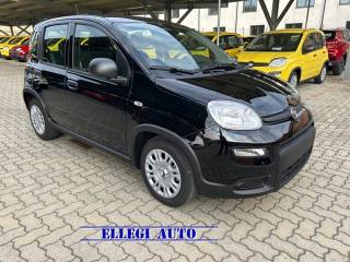 FIAT Panda usata, con Airbag