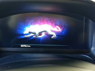 FORD Puma usata, con Boardcomputer