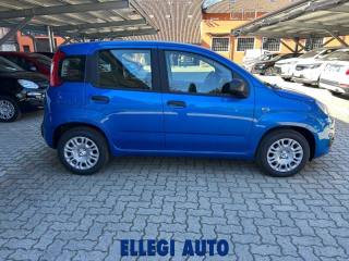 FIAT Panda usata, con Alzacristalli elettrici