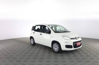 FIAT Panda usata 1