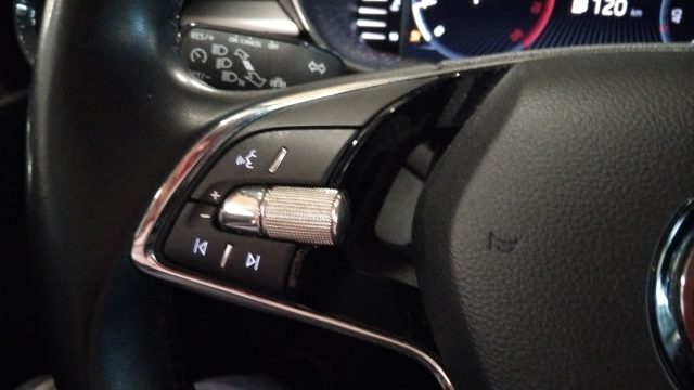 SKODA Fabia usata, con Bracciolo