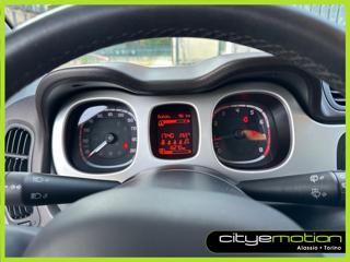 FIAT Panda Cross usata, con Controllo trazione