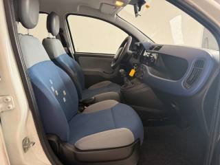 FIAT Panda usata 11