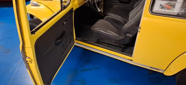 VOLKSWAGEN Buggy usata 25