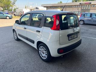 FIAT Panda usata, con Chiusura centralizzata