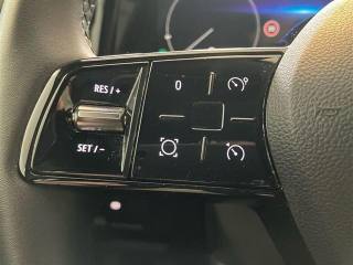 RENAULT Austral usata 22