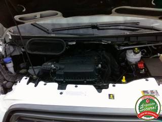 FORD Transit usata, con Bracciolo