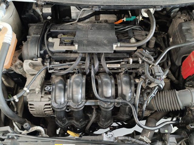 FORD Fiesta usata 19