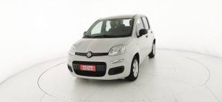 FIAT Panda usata 23