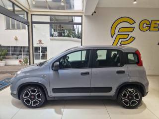 FIAT Panda usata, con Alzacristalli elettrici