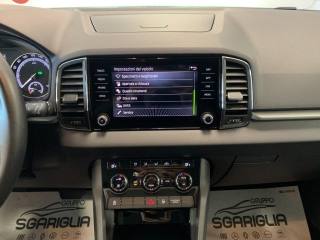 SKODA Karoq usata, con Filtro antiparticolato