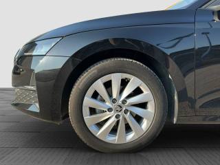 SKODA Octavia usata 14