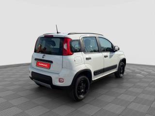 FIAT Panda usata 4