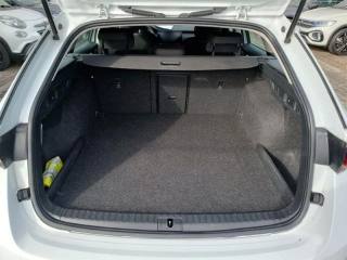 SKODA Octavia usata, con Fendinebbia