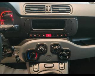 FIAT New Panda usata, con Servosterzo