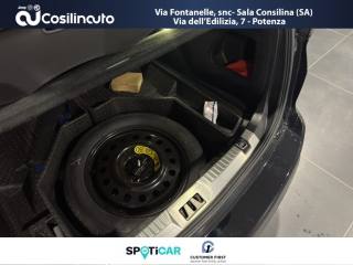 FORD Edge usata, con Volante in pelle