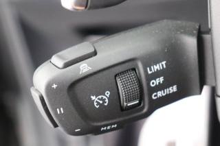 DS AUTOMOBILES DS 7 usata, con Interni in pelle