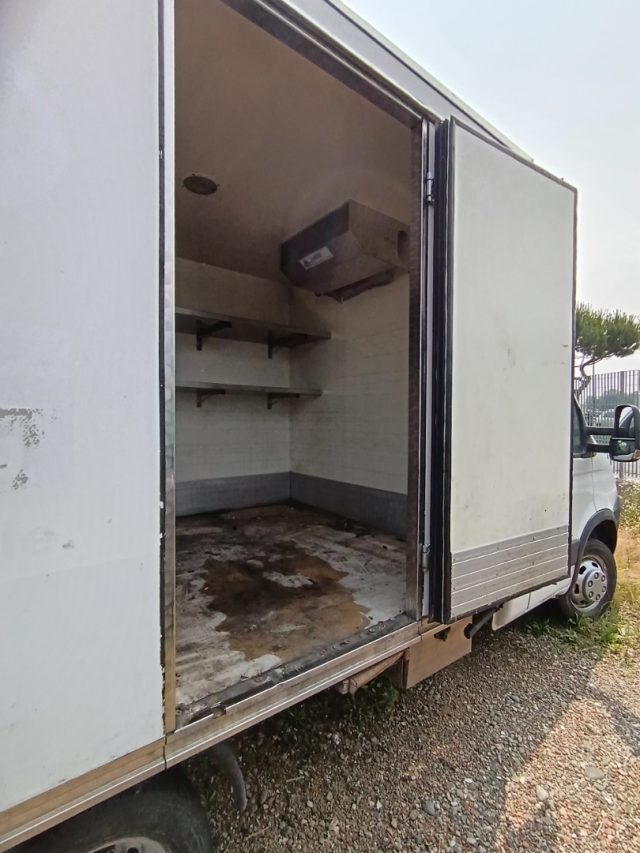 IVECO Daily usata 4