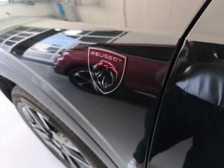 PEUGEOT 3008 usata, con Specchietti laterali elettrici