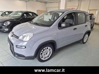 FIAT Panda usata, con Autoradio
