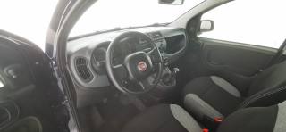 FIAT Panda usata 52