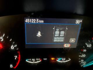 FORD Focus usata, con Cruise Control