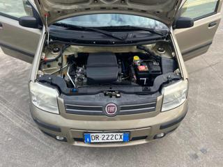 FIAT Panda usata 11