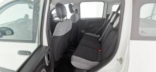 FIAT Panda usata 32